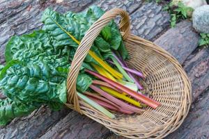 Multicolored chard leaves from the organic garden photo