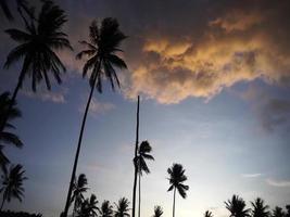 Sonnenuntergang am Strand mit Kokospalmen und wolkigen Wolken. video