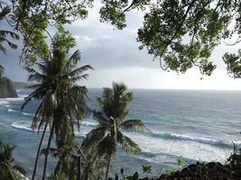 seaside view in tropical asia. video