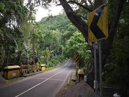 highway in the middle of the tropical forest of Asia. video