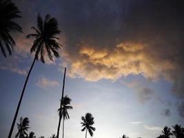 pôr do sol na praia com coqueiros e nuvens nubladas.