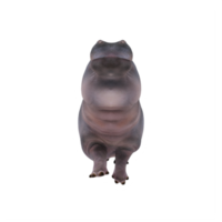 3d hippopotamus isolated png