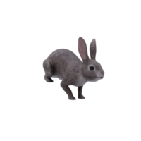 3d wild rabbit isolated png