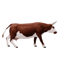 3d cattle isolated png