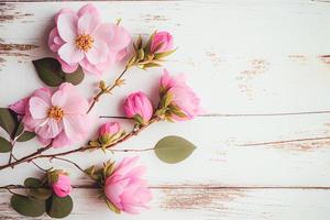 Beautiful pink flowers on white wooden background, Valentine's day concept with copy space photo