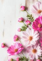 Beautiful pink flowers on white wooden background, Valentine's day concept with copy space photo