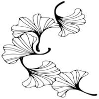 vector blanco y negro de plantas, árboles y follaje