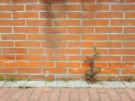 industrial style red brick wall background with copy space photo