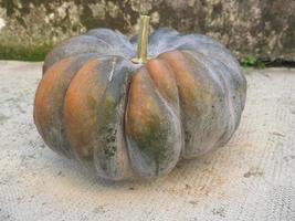 pumpkin vegetables food photo