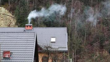 edificio residencial en los suburbios en un día nublado en otoño frío cerca del bosque. una chimenea en una casa de ladrillos con árboles al fondo. Calefacción a leña en la estufa. video