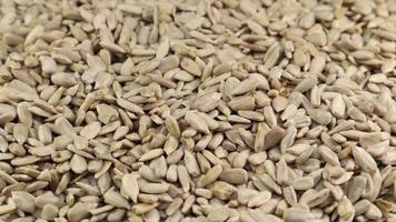 Rotation of peeled raw sunflower seeds. Studio shot. Healthy food, super seeds concept. Food background. Gastronomy concept, natural products. video