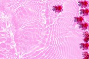 Defocus blurred transparent pink colored clear calm water surface texture with splashes and bubbles with cherry flower. Trendy abstract nature background. Pink water waves in sunlight with copy space. photo