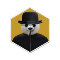 Panda Kollektion Winter png