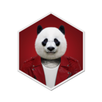 Panda collection winters png