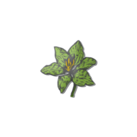 liten växt löv ikon Start av vår. png