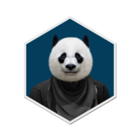 panda collection hivers png