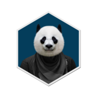 panda verzameling winters png