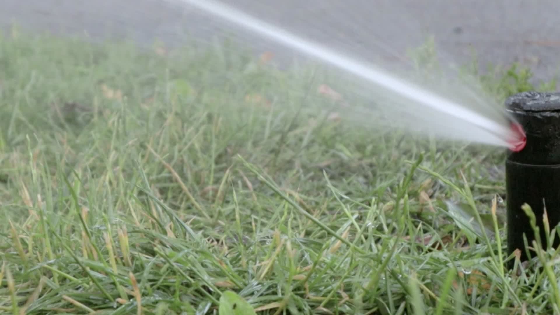 Lawn irrigation system working in a green park. Spraying the lawn with