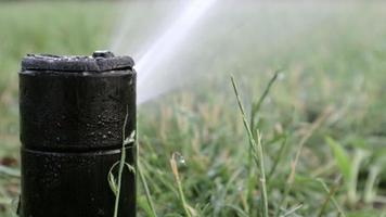 Sistema de riego de césped funcionando en un parque verde. rociar el césped con agua cuando hace calor. Aspersor automático. el cabezal del aspersor de riego automático que riega el césped. jardín inteligente. video