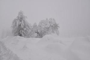 paisaje de bosque de montaña en un día de invierno brumoso foto