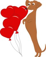 perro dachshund decora globos en forma de corazón sobre fondo blanco png