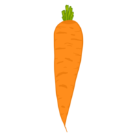 carota verdura mano disegnato png