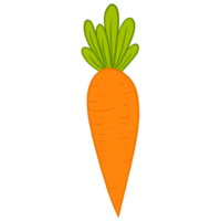 ilustración vegetal de zanahoria png