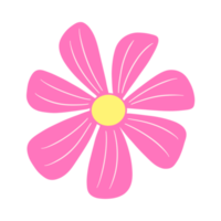 Pink Flower Drawing png