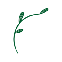 desenho de folha verde png
