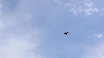 ultralicht klein propeller aangedreven privaat Jet vliegend in de lucht met wolken over- de vliegveld. achterzijde visie van een turboprop vliegtuig nemen uit. video