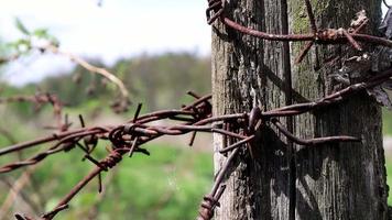 Old wooden fence with rusty barbed wire. A fence next to a rural road. Vintage look. A wooden post around the perimeter of the pasture fence. video
