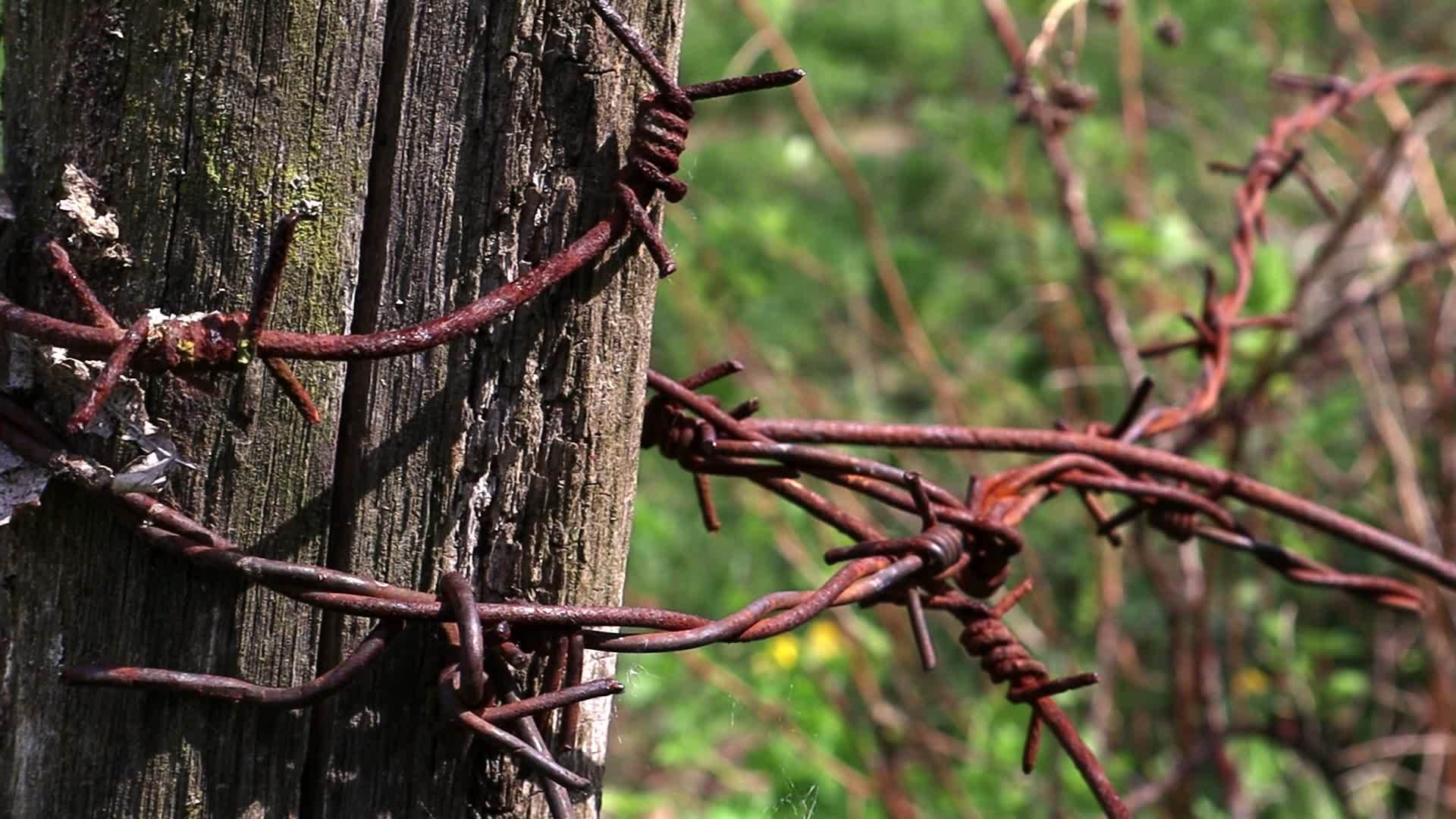 Old wooden fence with rusty barbed wire. A fence next to a rural road.  Vintage look. A wooden post around the perimeter of the pasture fence.  18735256 Stock Video at Vecteezy