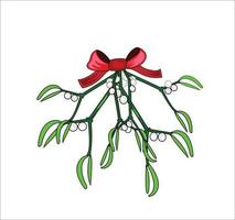 Holly vector illustration on white background