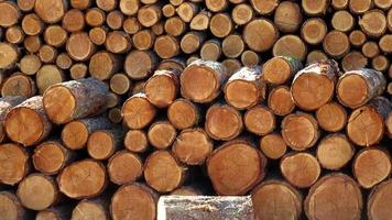 log wood, timber, lumber prepared for use video