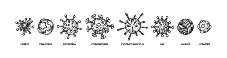 WebSet of hand drawn different types of viruses. Vector illustration in sketch style. Realistic scientific drawing