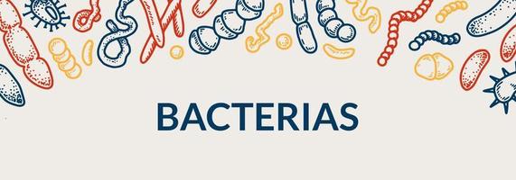 diseño horizontal de bacterias. ilustración vectorial dibujada a mano en estilo boceto vector