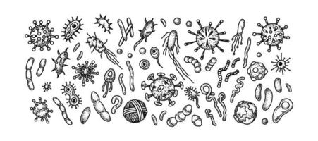 Set of viruses, bacteria and other microorganisms. Scientific vector illustration in sketch style