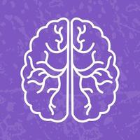 Brain Vector Icon