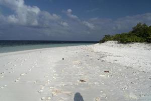 rubbish on tropical island paradise sandy beach photo