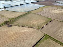 rice farmed fields in italy aerial view photo