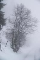 paisaje invernal en los alpes austríacos foto