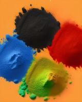 Holi Celebration Colorful Powder