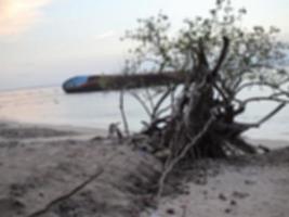 blur image of boat and tree on the beach at sunset. photo