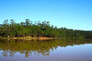 Landscape view of beautiful lake with reflection, pine forest or jungle with clear blue sky background. Natural wallpaper with copy space. Beauty tree of autumn season. photo