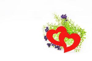 Valentine day. Hearts with white and purple or violet flower isolated on white background with left copy space for adding text. Beautiful object and Lovely concept photo