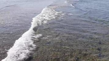 calma mare superficie, molto vicino messa a fuoco, nel lento movimento a partire dal il acqua durante il giorno. sole bagliore su il superficie di un' pulito e trasparente rosso mare. sfondo di un' calma e caldo mare. video