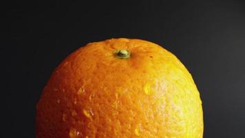gotas de agua caen sobre una naranja de cerca sobre un fondo negro. naranja entera mojada y mojada. frutas para la dieta y una alimentación saludable. cítricos, lluvia lateral, frutas tropicales. video