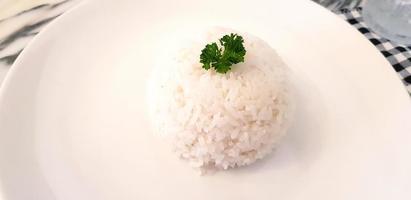 White rice with green leaves or herb on top in white plate for eating at lunch time. Food and Carbohydrate concept photo