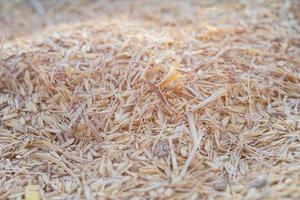 milled rice bran - free stock background texture photo