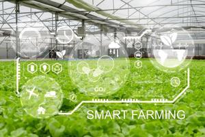 smart farming. indoor organic hydroponic fresh green lettuce vegetables produce in greenhouse garden nursery farm with visual icon, agriculture business, digital technology and healthy food concept photo